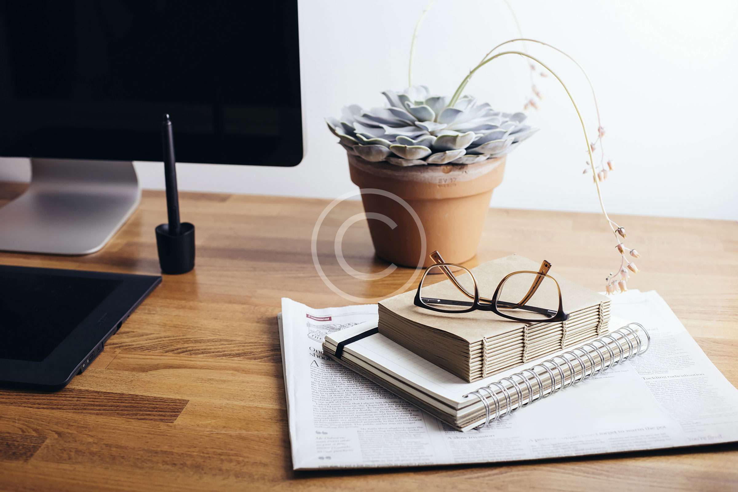 Interior Landscaping